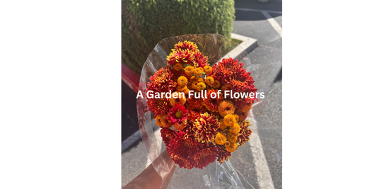 A Garden Full Of Flowers